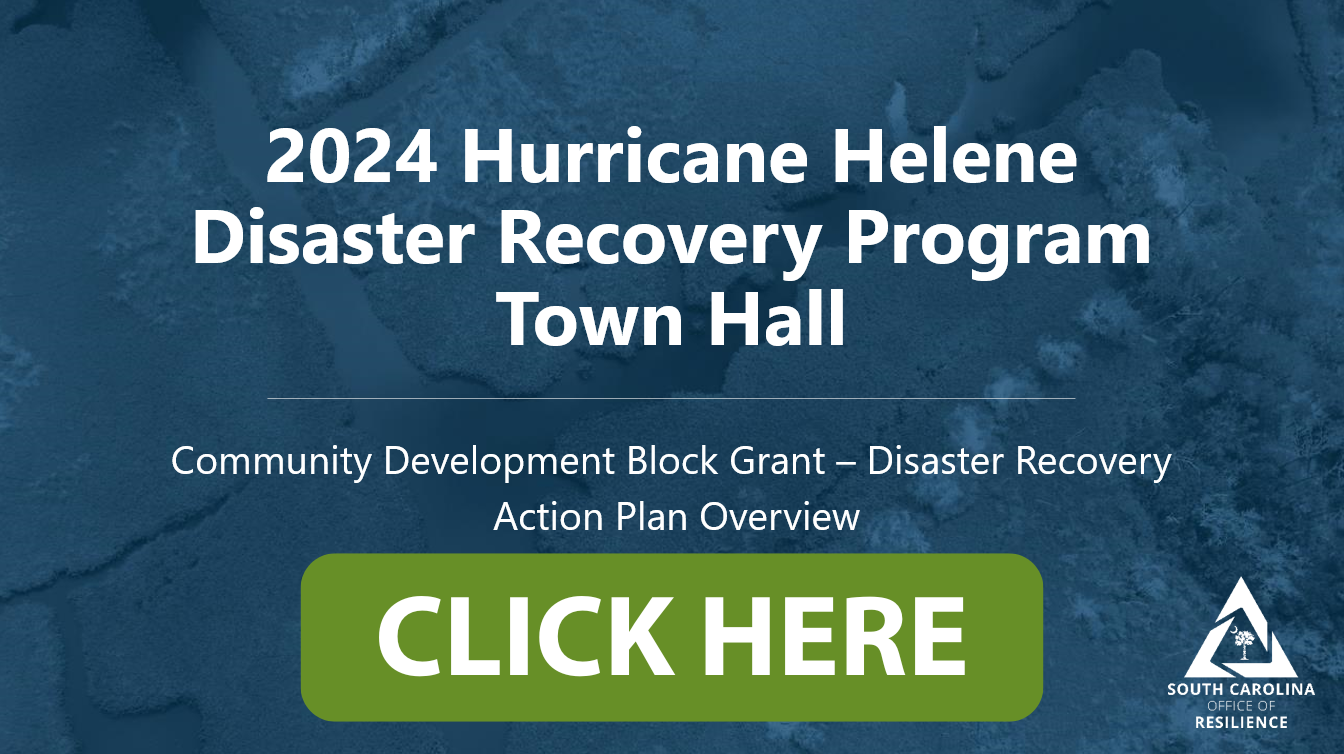 Action Plan Presentation Slideshow Deck picture - click to open